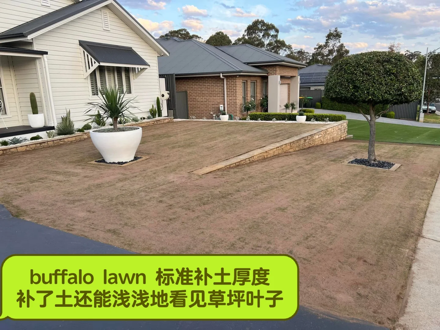 ?? 补土 top dressing 草坪维护