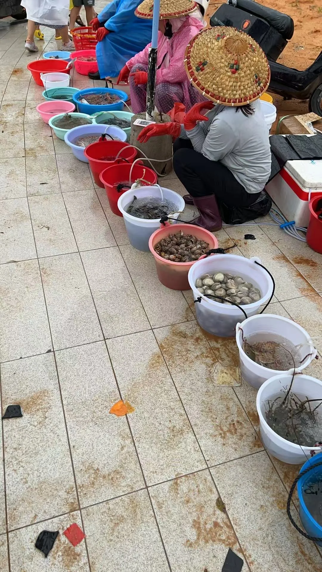 陵水新村临时农贸市场海鲜加工