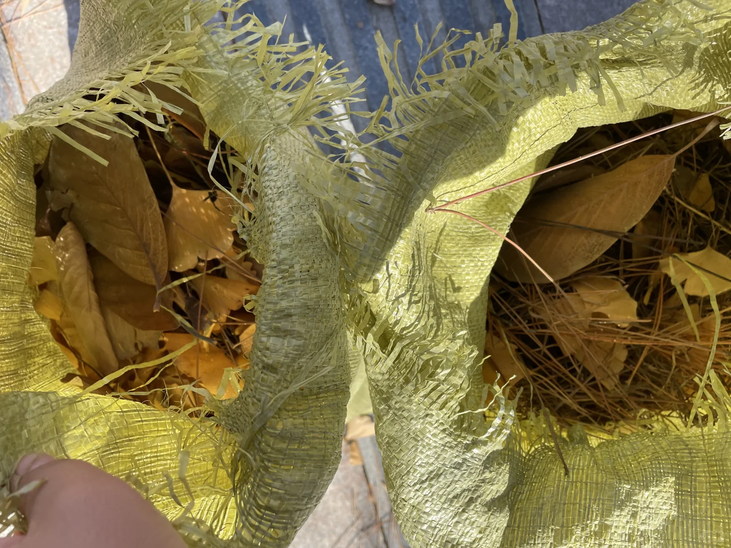 堆肥初体验，这样能成功吗