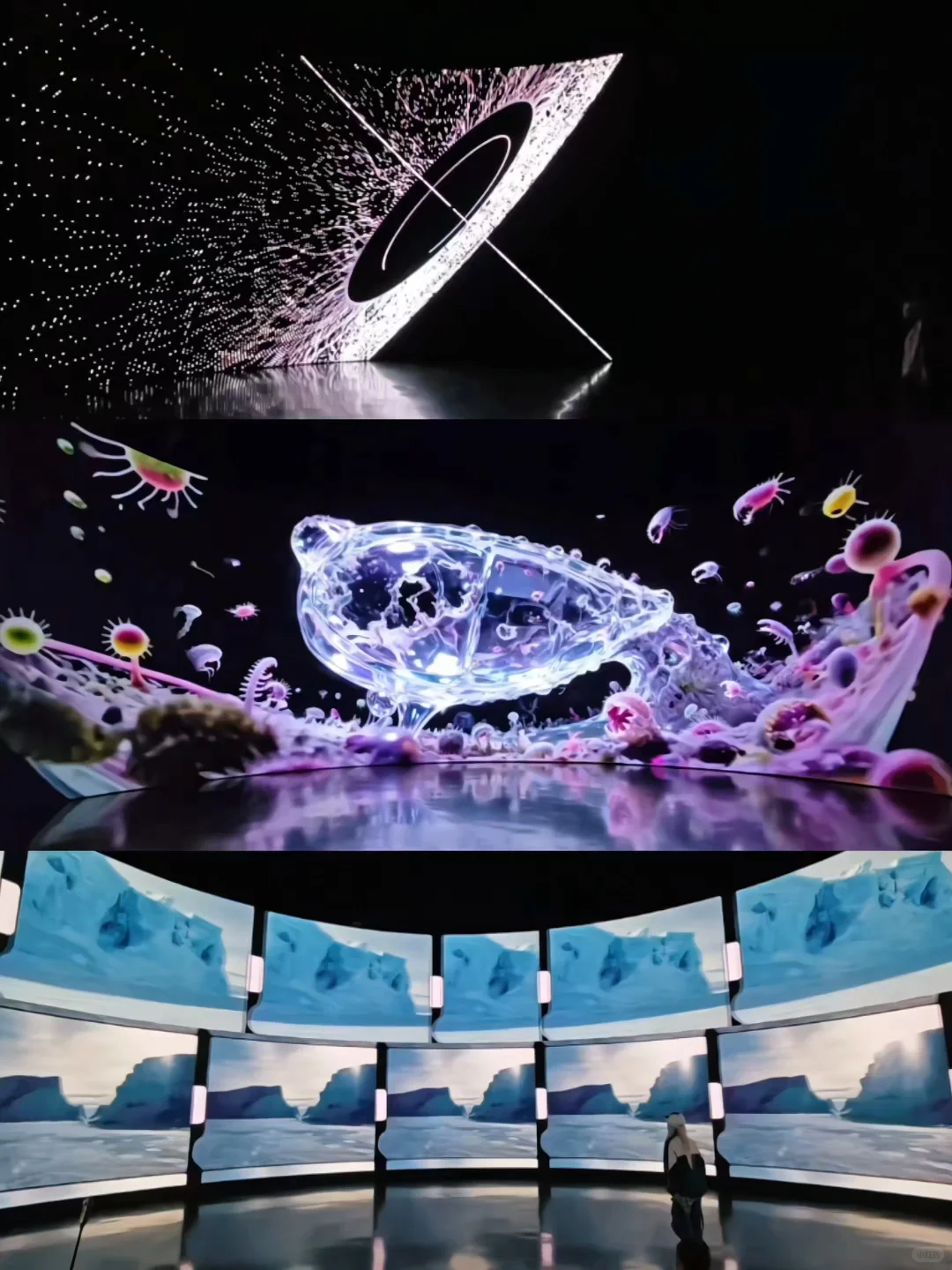 在上海你一定要相信?好看的展都是免费滴