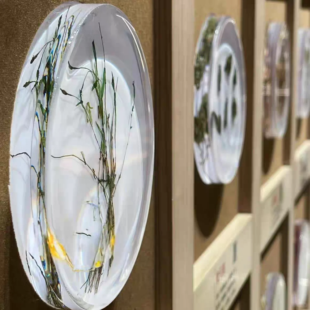 把春天/星光/小宇宙封进滴胶里！