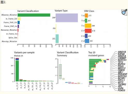 Var∣Decrypt：探索全外显子组变异及优先级