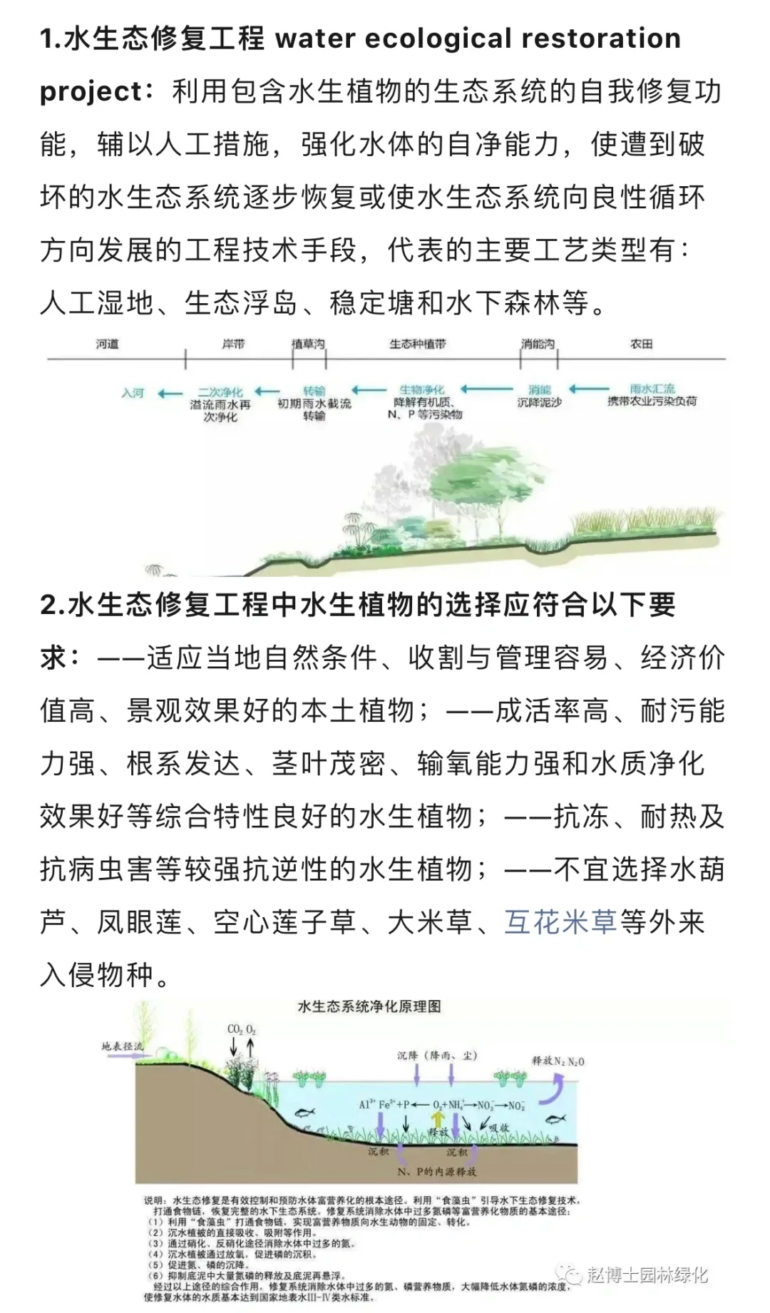 水生态修复植物种植方法与养护技术…