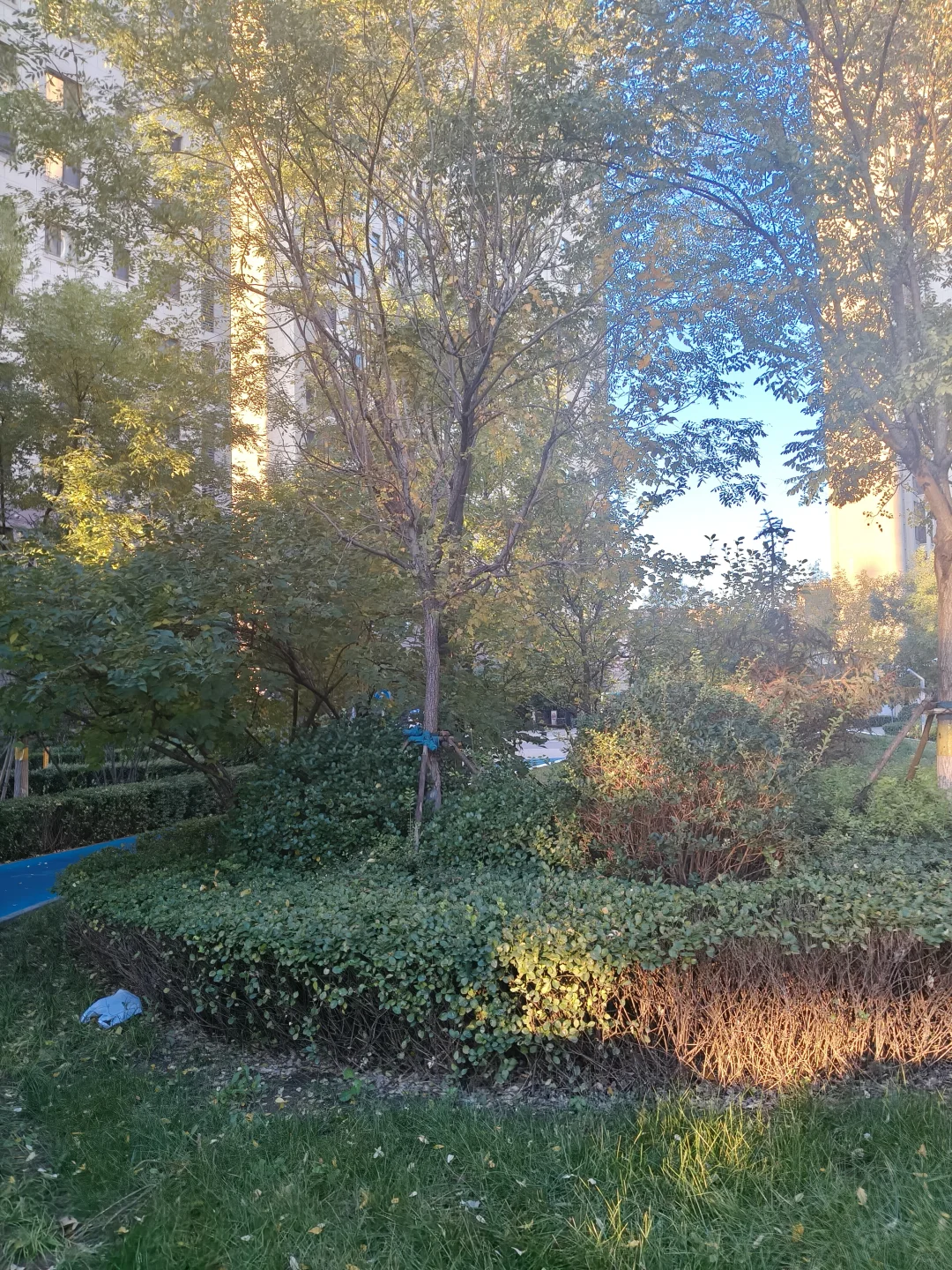 11月修复第二天