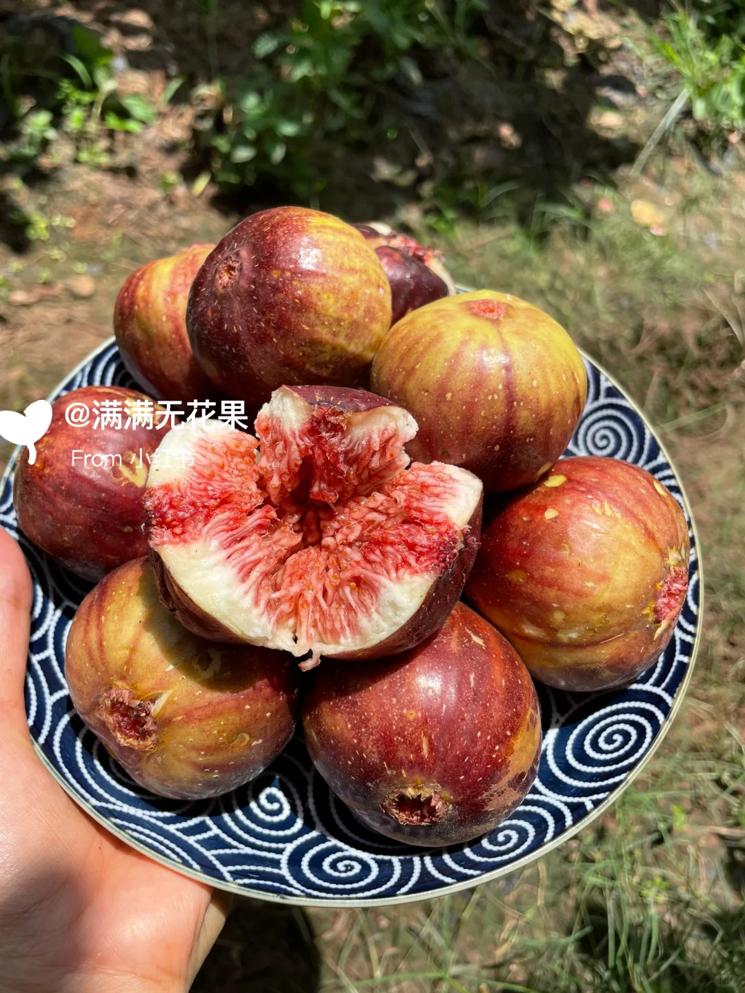 推荐冻起来吃?这样能吃一年~