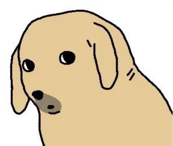 干应付会计一年半了,偷偷说点我的心得