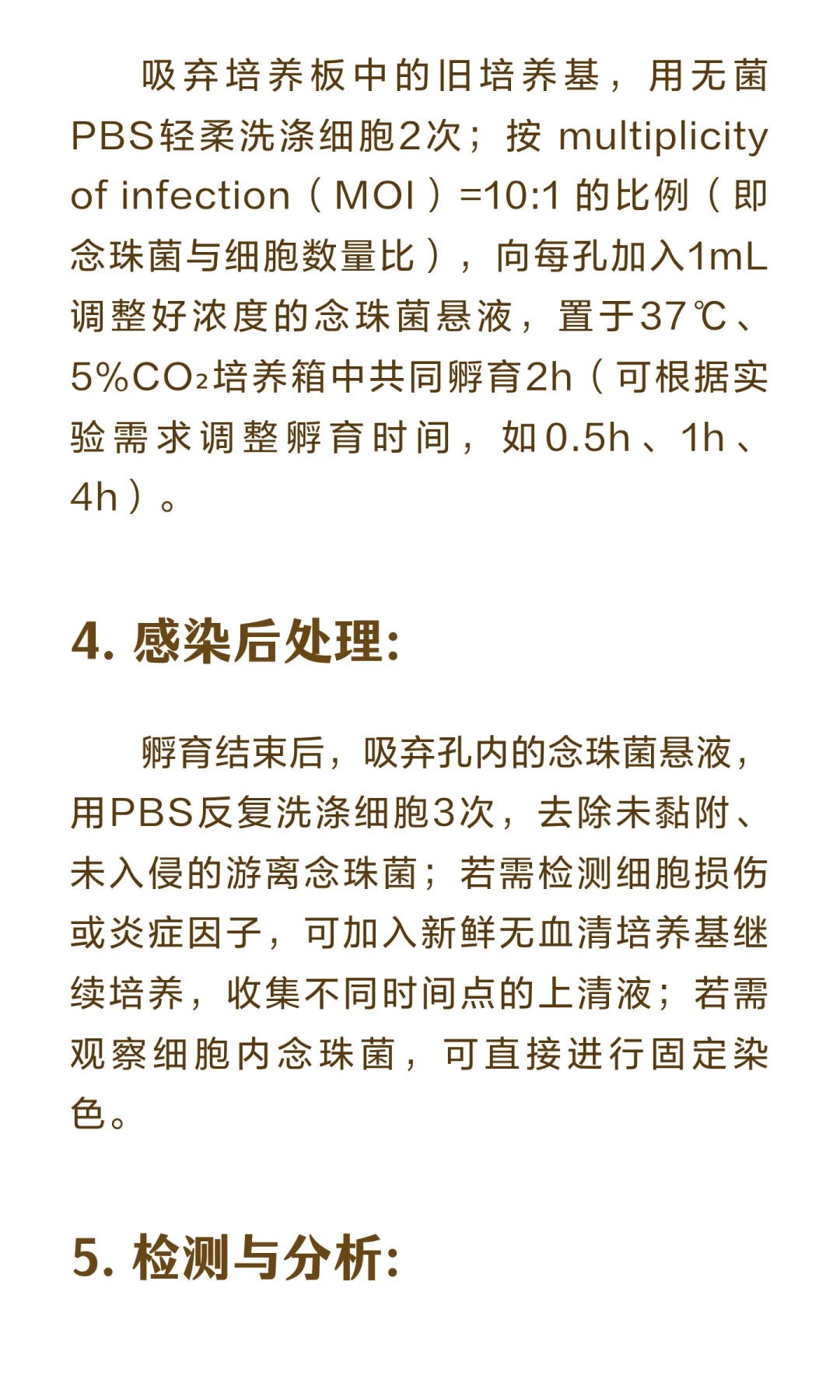 白色念珠菌感染口腔上皮细胞模型