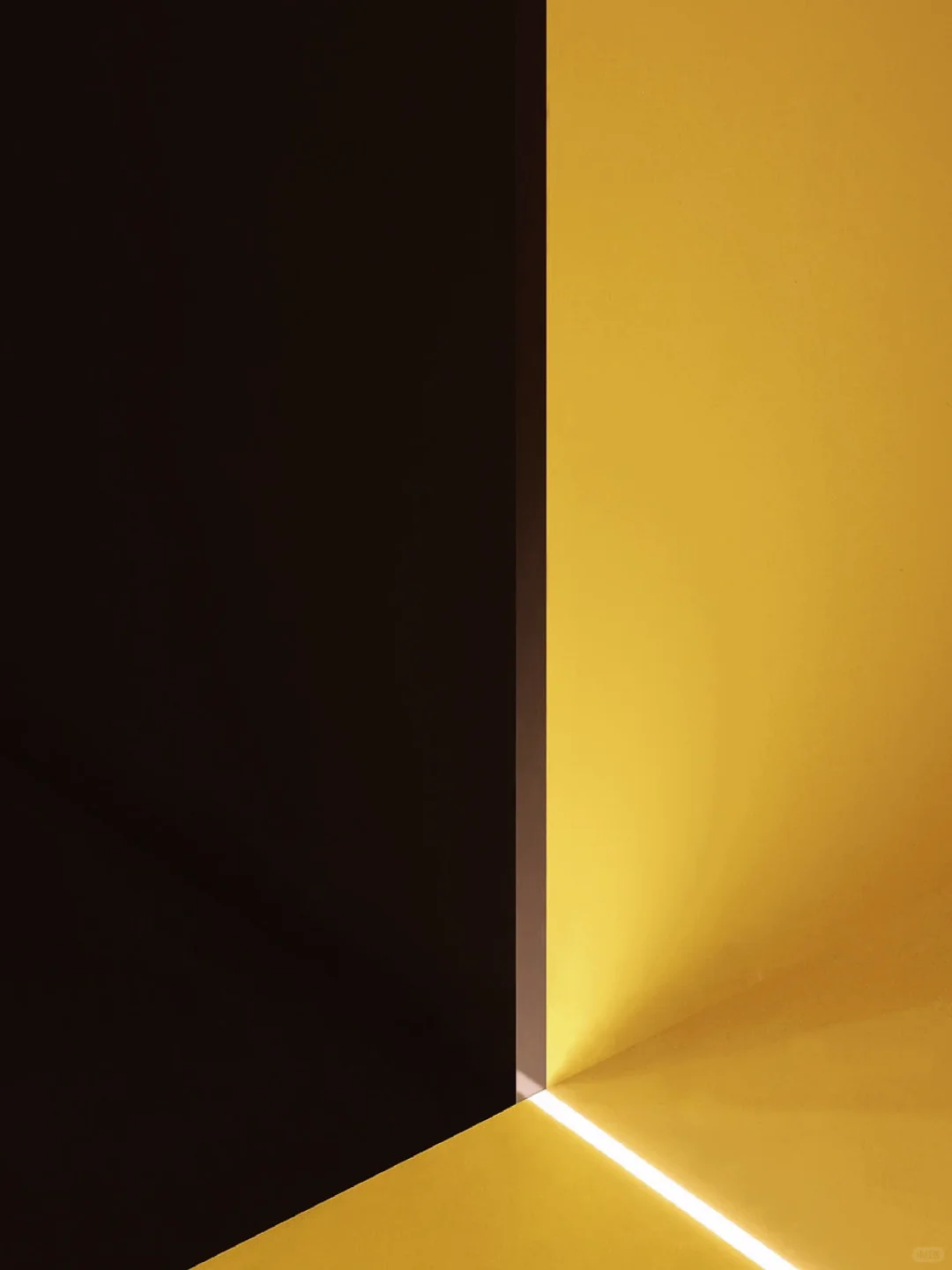 ?生物基涂料-芽孢杆菌提取物！