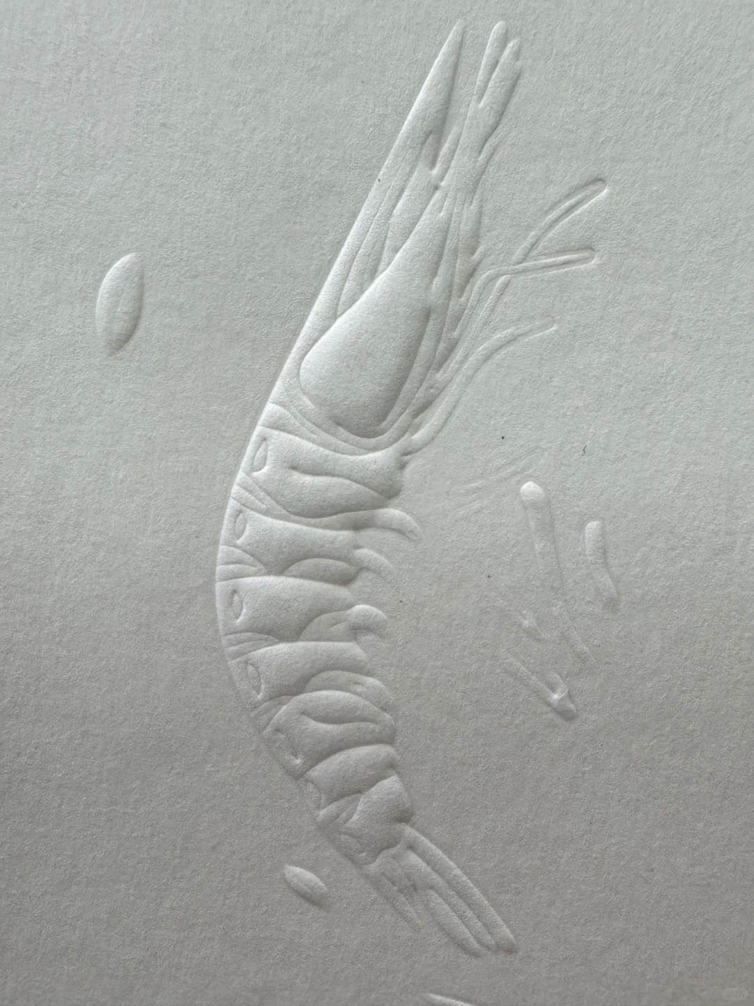 包装封神密码 浮雕击凸工艺太显高级!