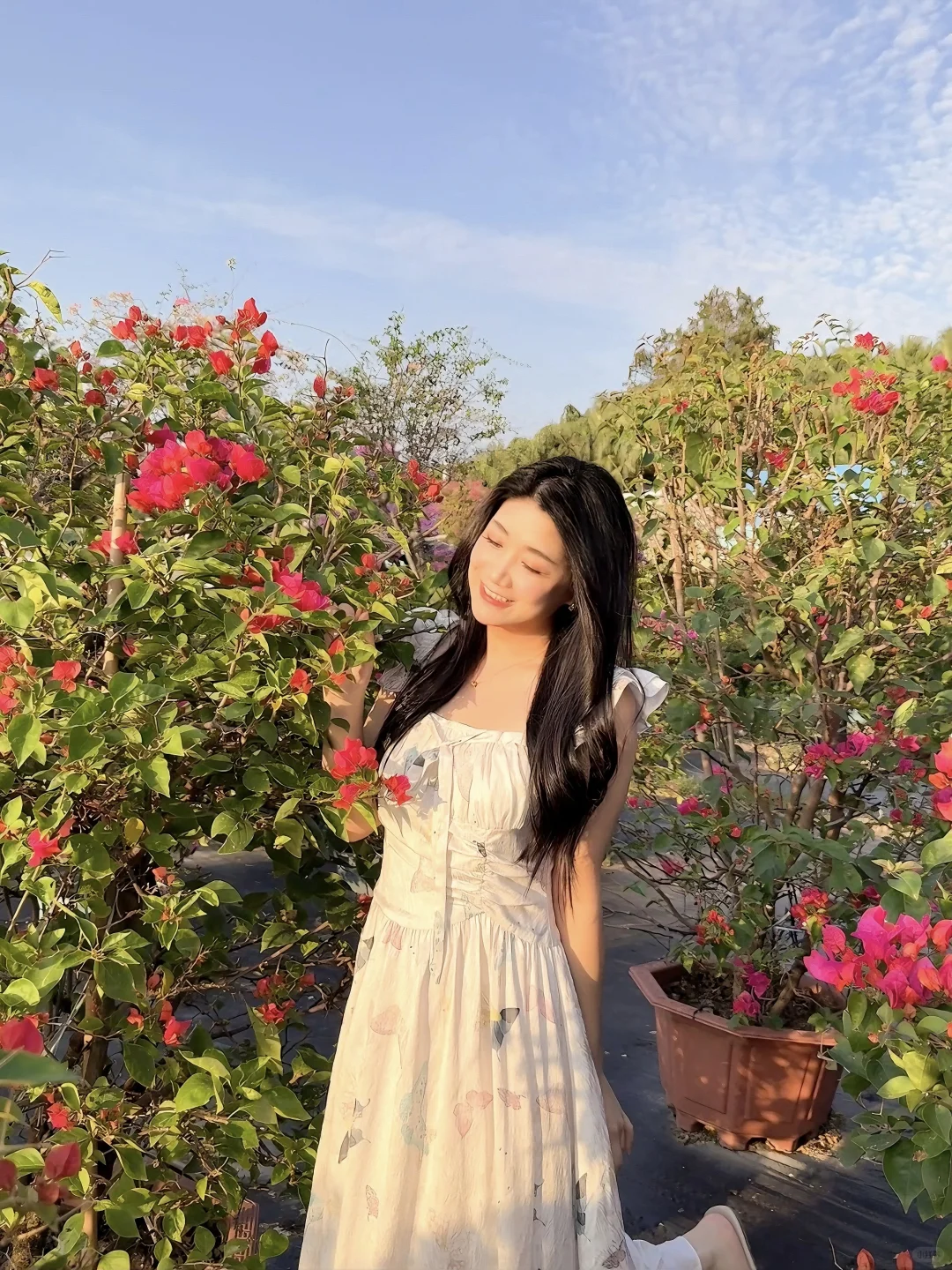 秋日氛围感天花板?西江花洲拍照+蝴蝶兰展