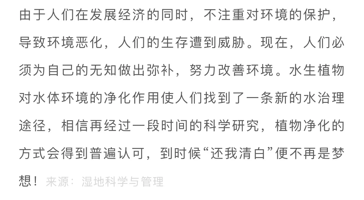 水生植物在水体修复中的妙用……