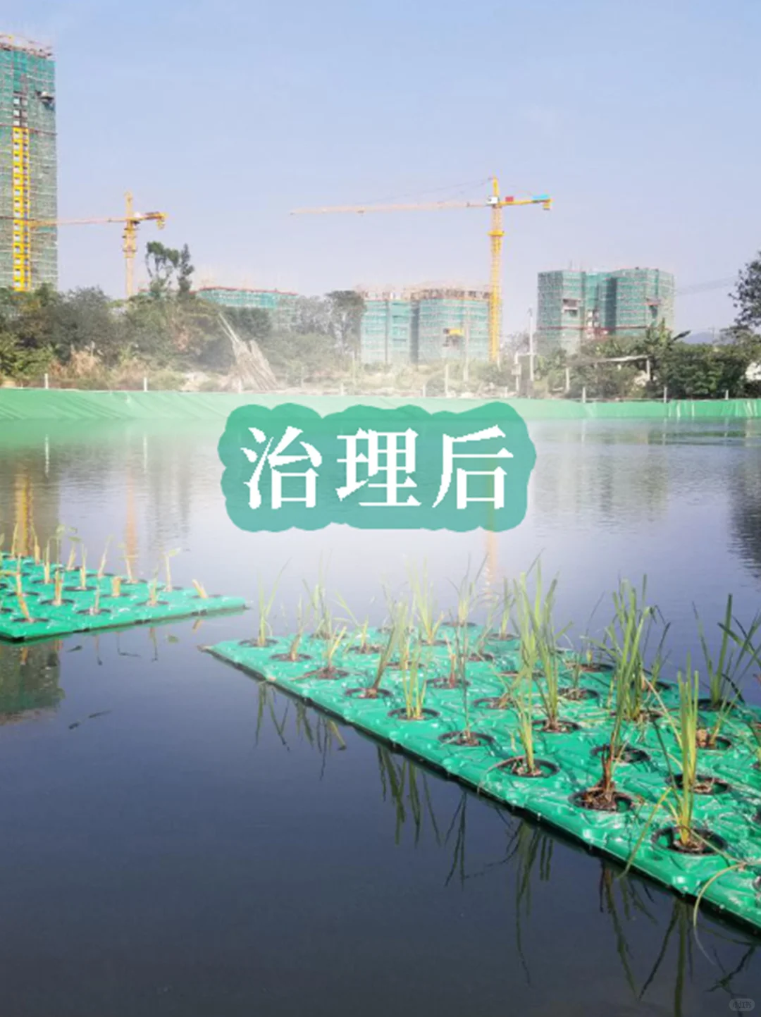 7公里劣V类水到V类|甘度微生物河道治理案例