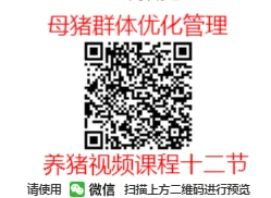 乳猪教槽料常见和最新的加工工艺