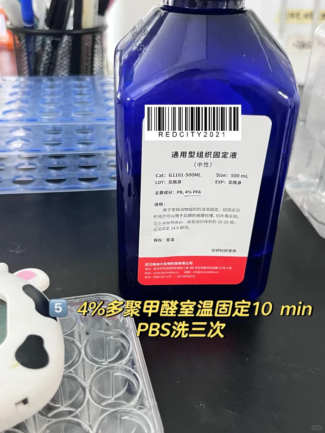 细胞免疫荧光实验 protocol详解‼️
