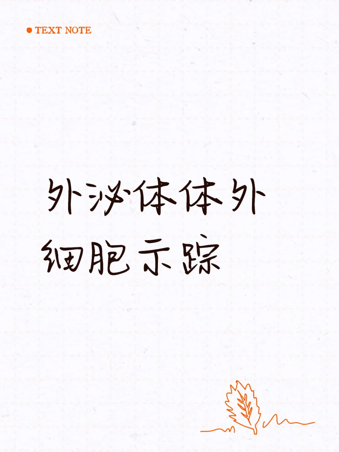 外泌体体外细胞示踪