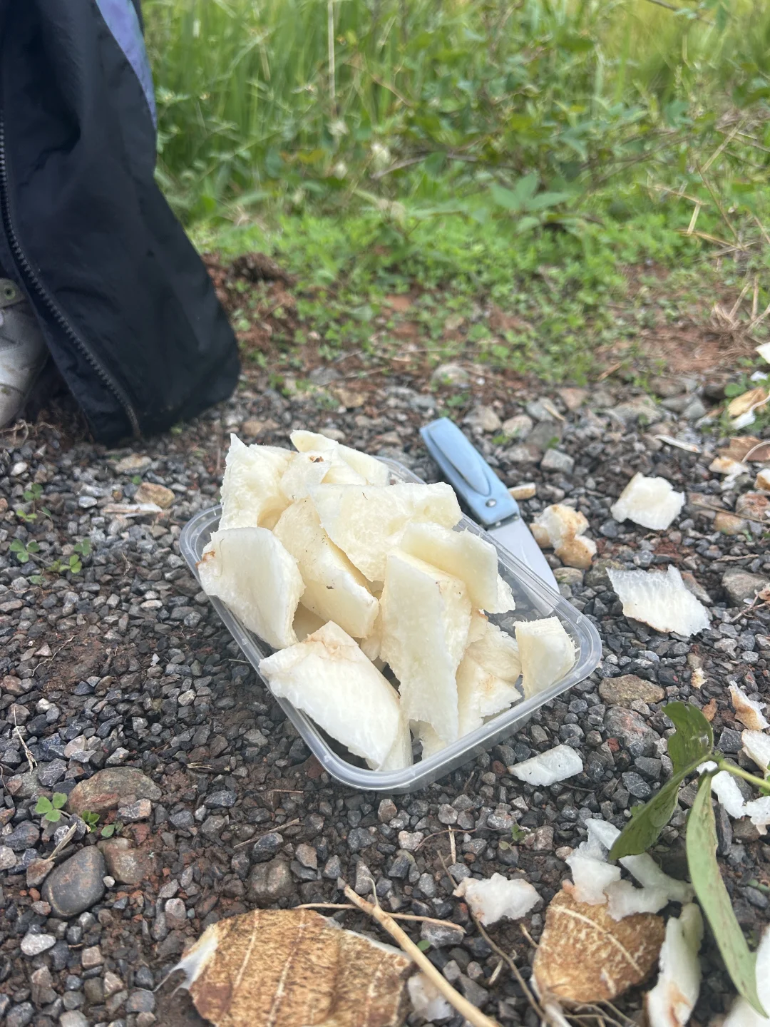 去见⛰️2025年10月26日 金堂梨花沟