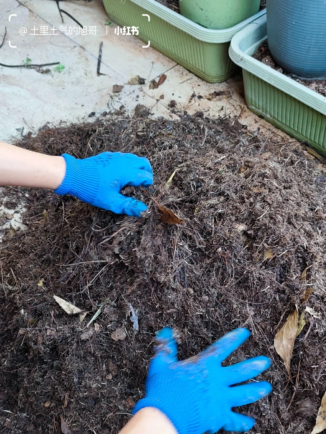 旧土翻新术0成本救活废土&灭虫养土搞定