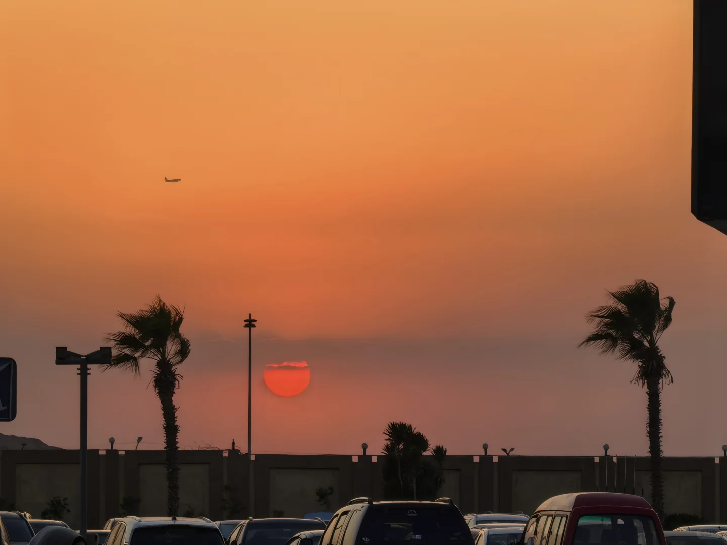 印域科技埃及之旅2025.9.20