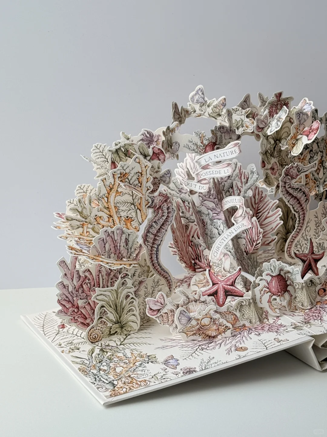 终于收到了这本迪奥立体书