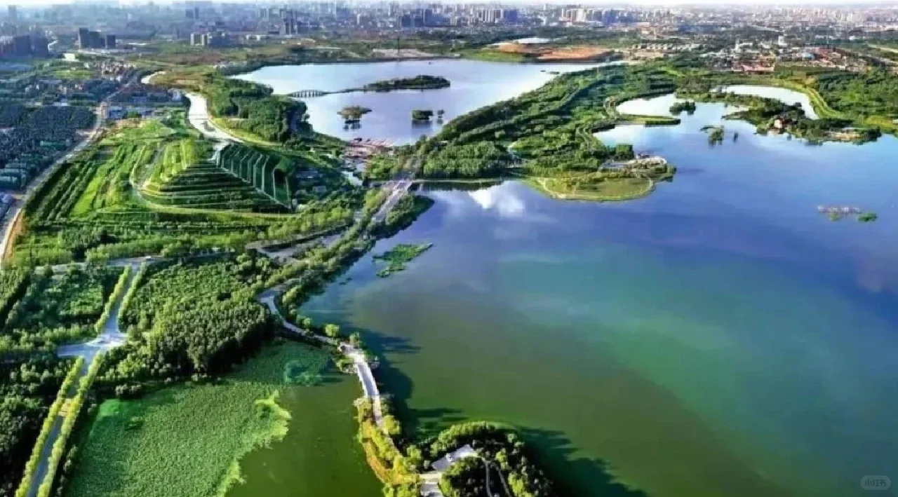 煤矿沉陷区的生态修复技术…