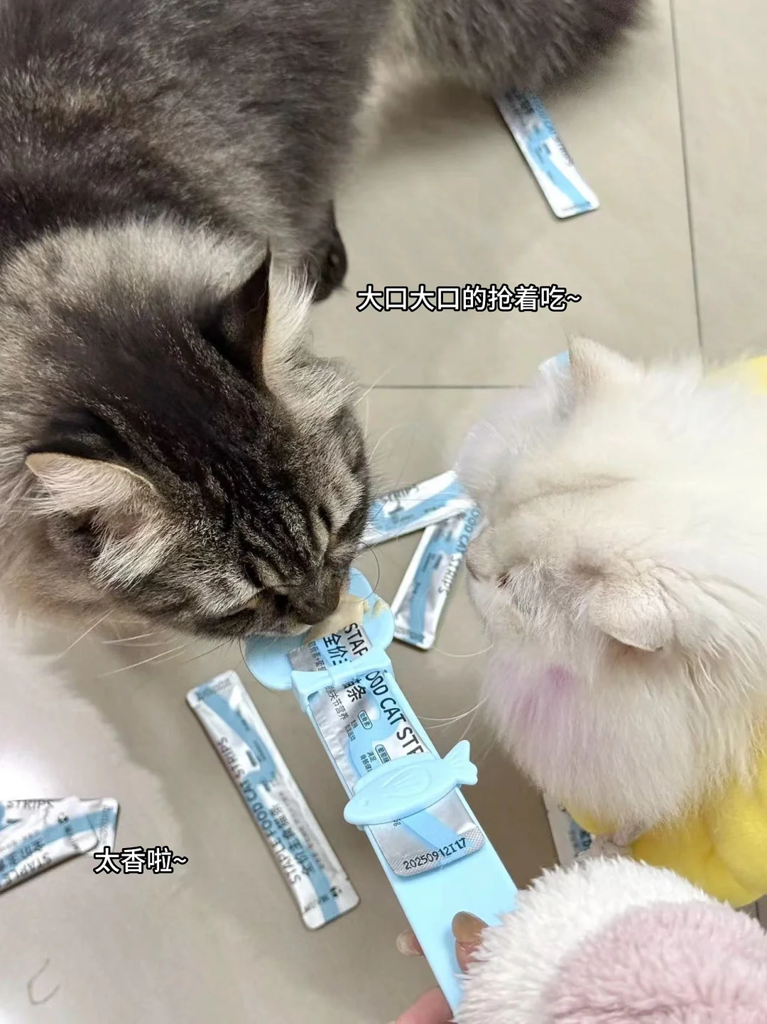 怒囤N+次!从幼到老都在投喂的的功能性猫条