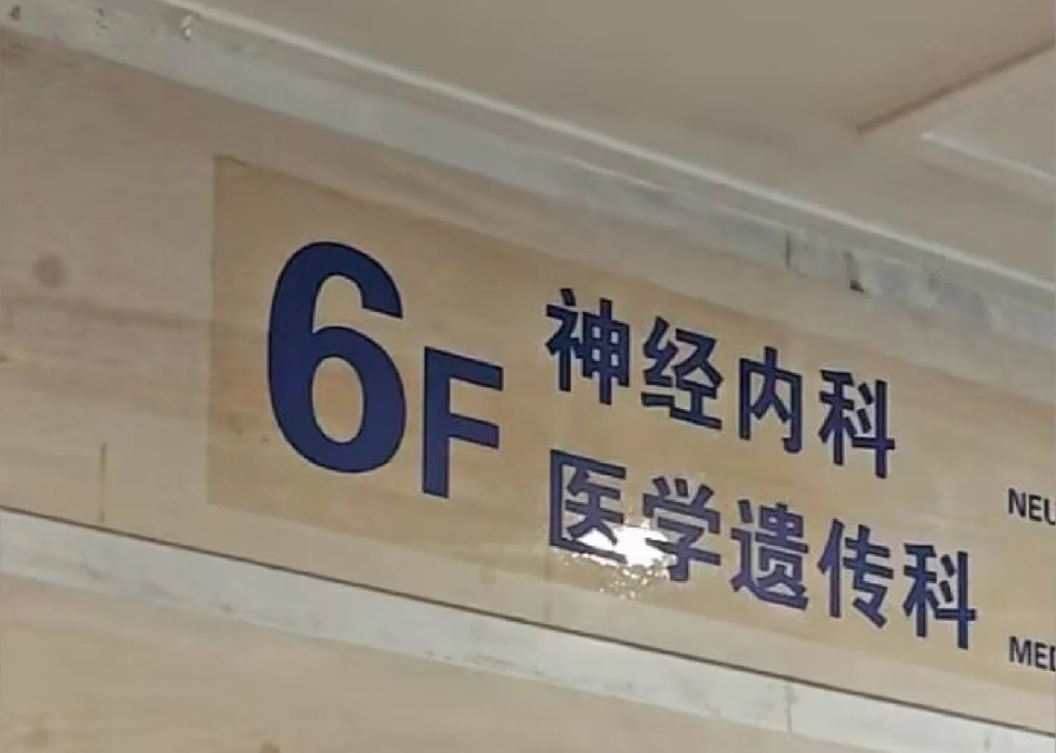 我的基因报告出来了