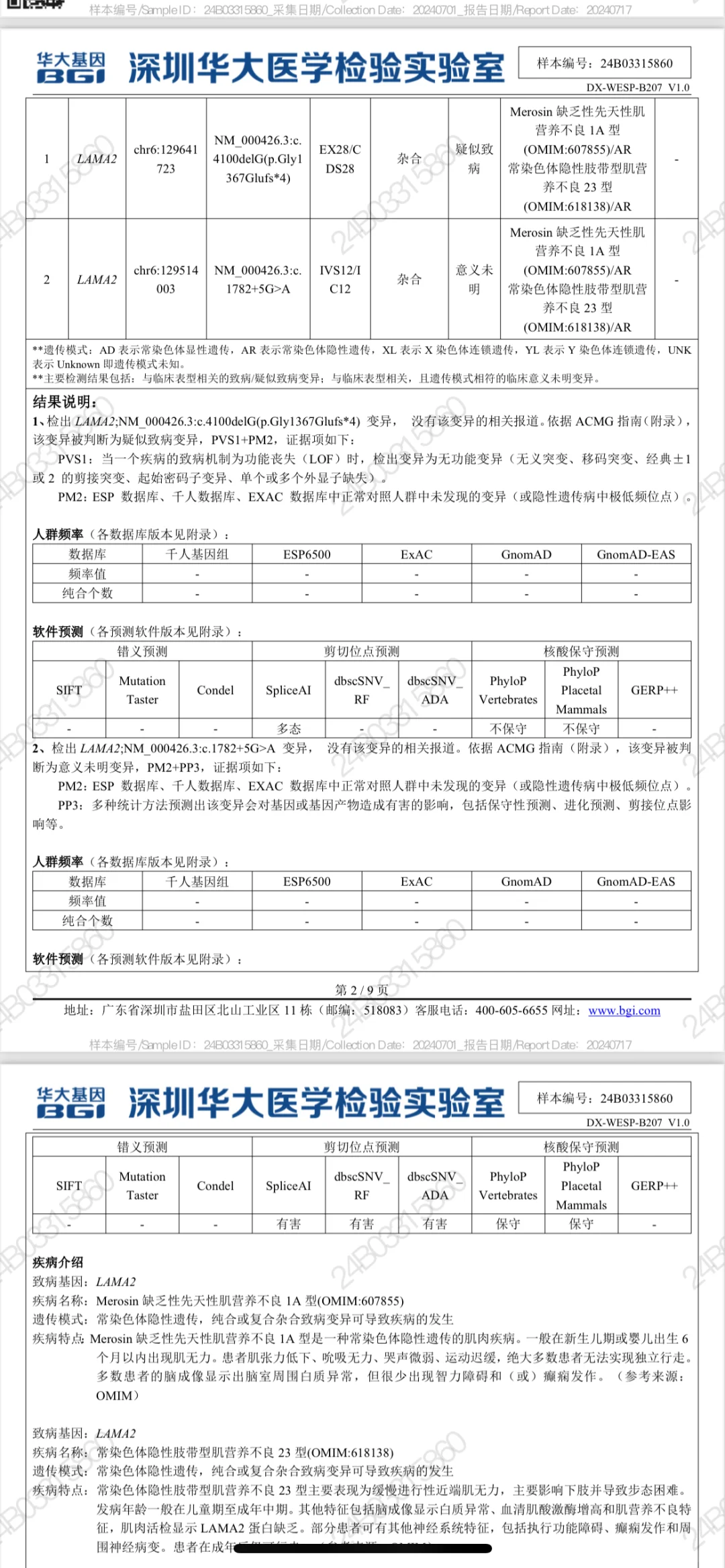 小白必看！肌营养不良基因检测报告解读