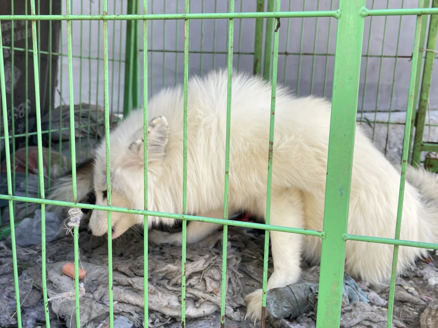 北京2h达！蚕姑坨悬崖边日照金山的秋日秘境