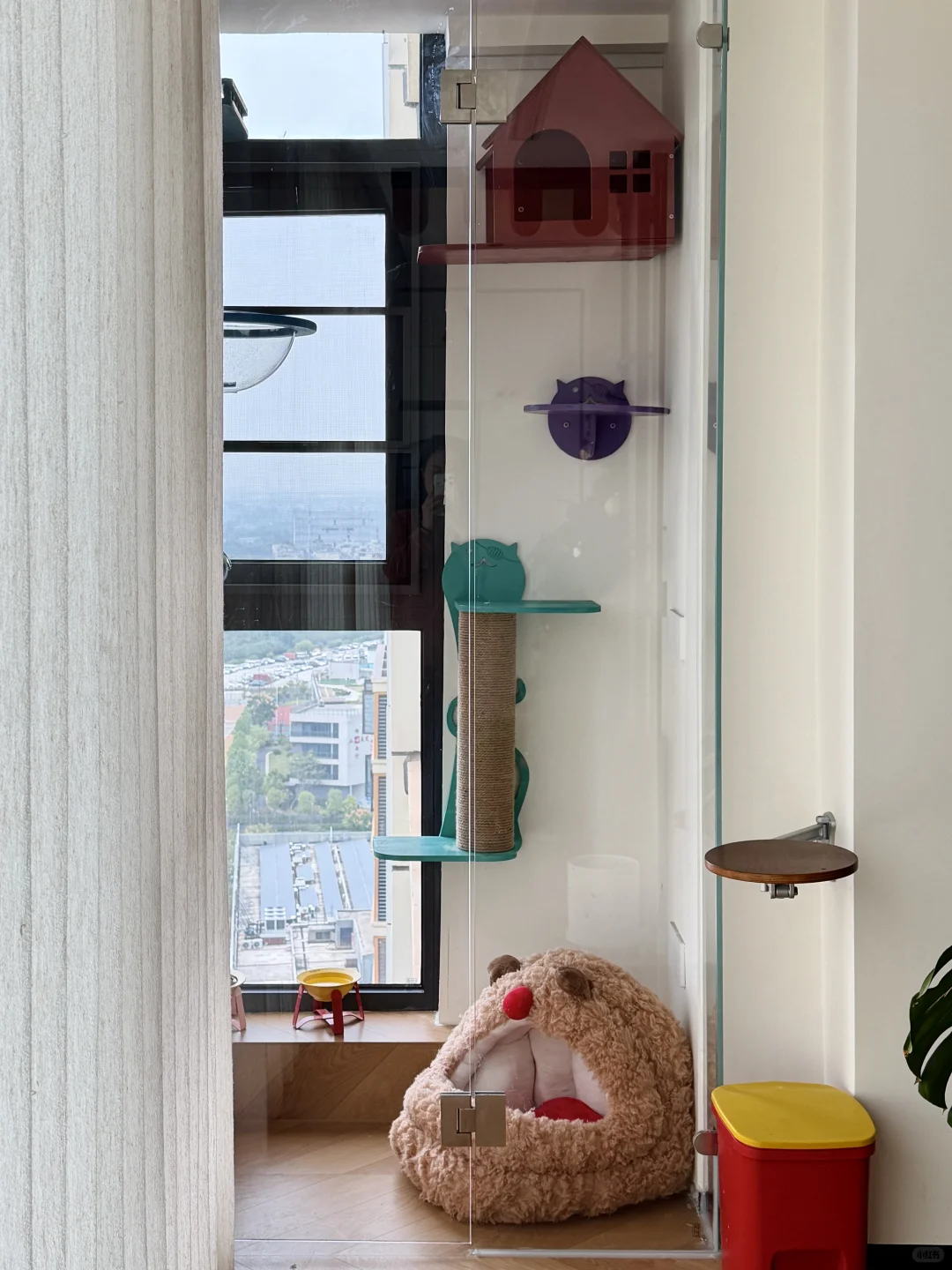 ?✨0.5平玻璃猫房 小空间改造✅附尺寸?