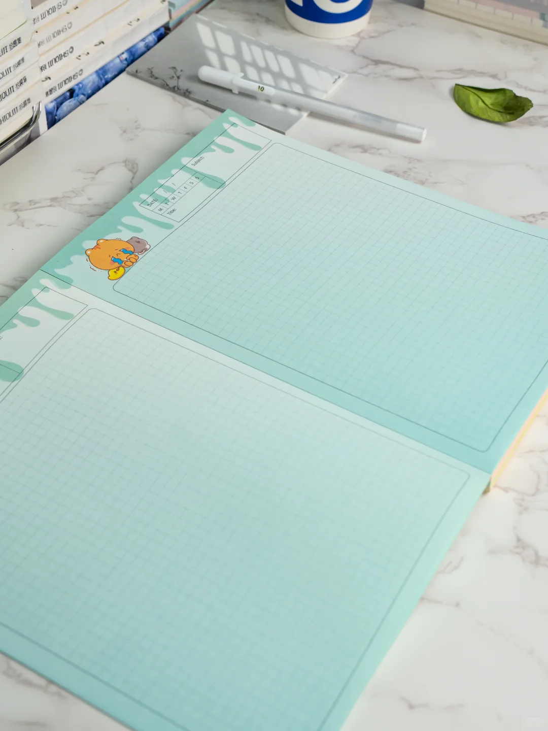 ? B5 拍纸本 100克双面彩印 ?