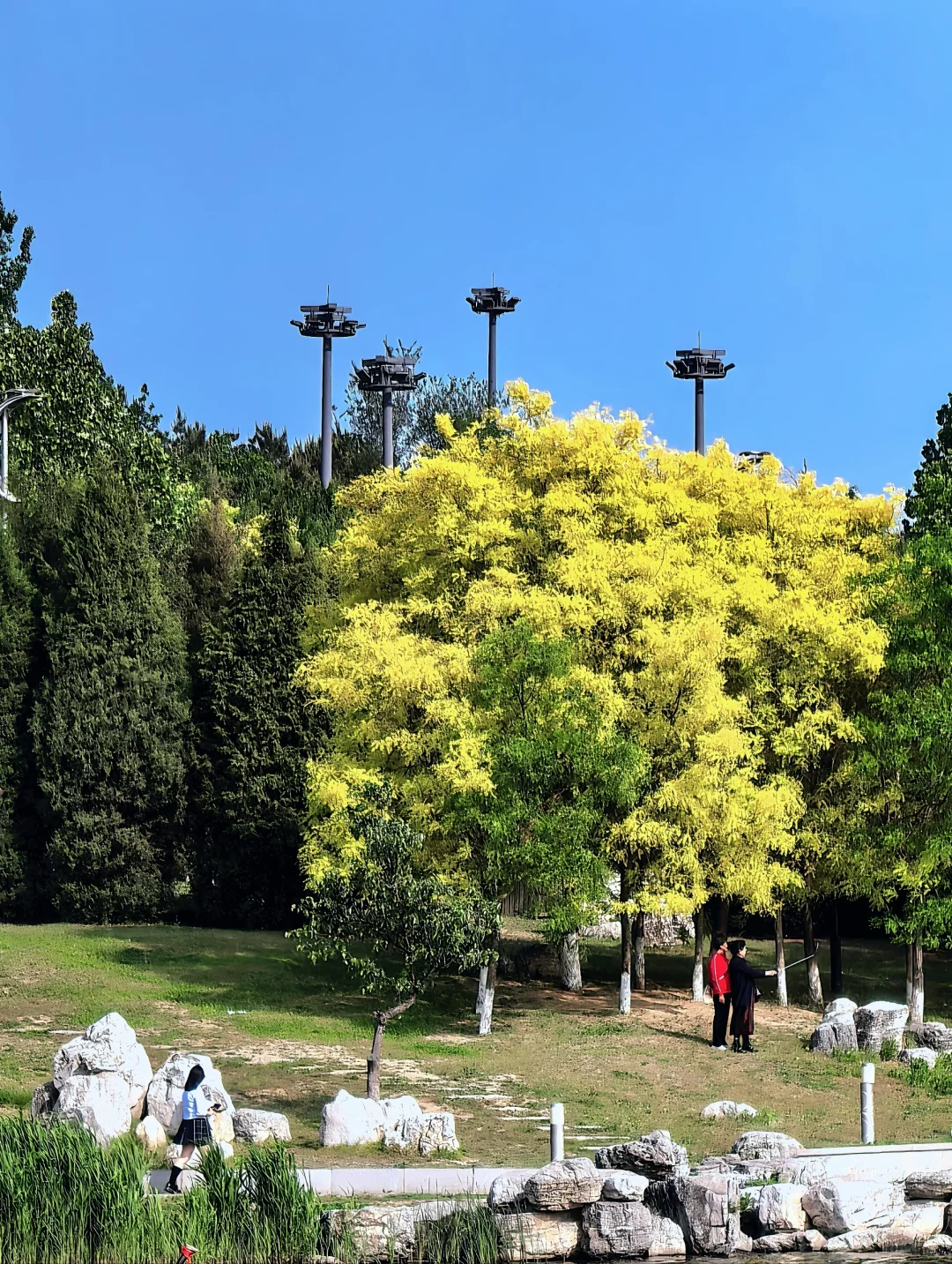 生态环境修复典范