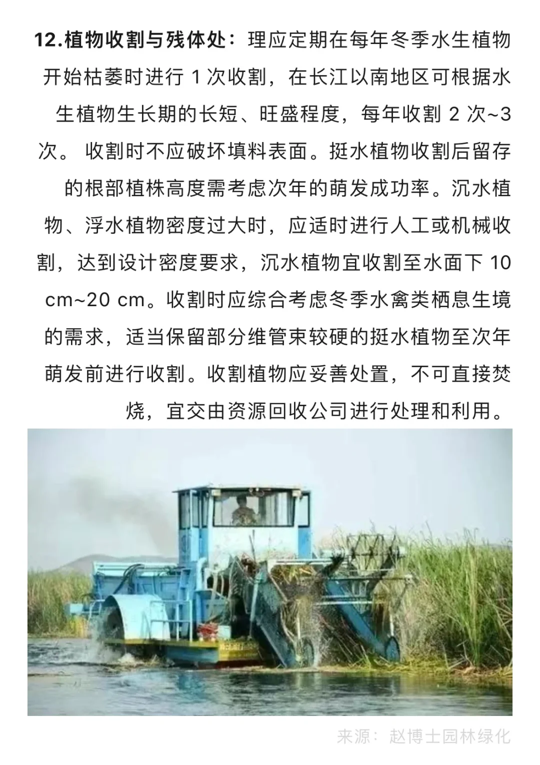 水生态修复植物种植方法与养护技术…