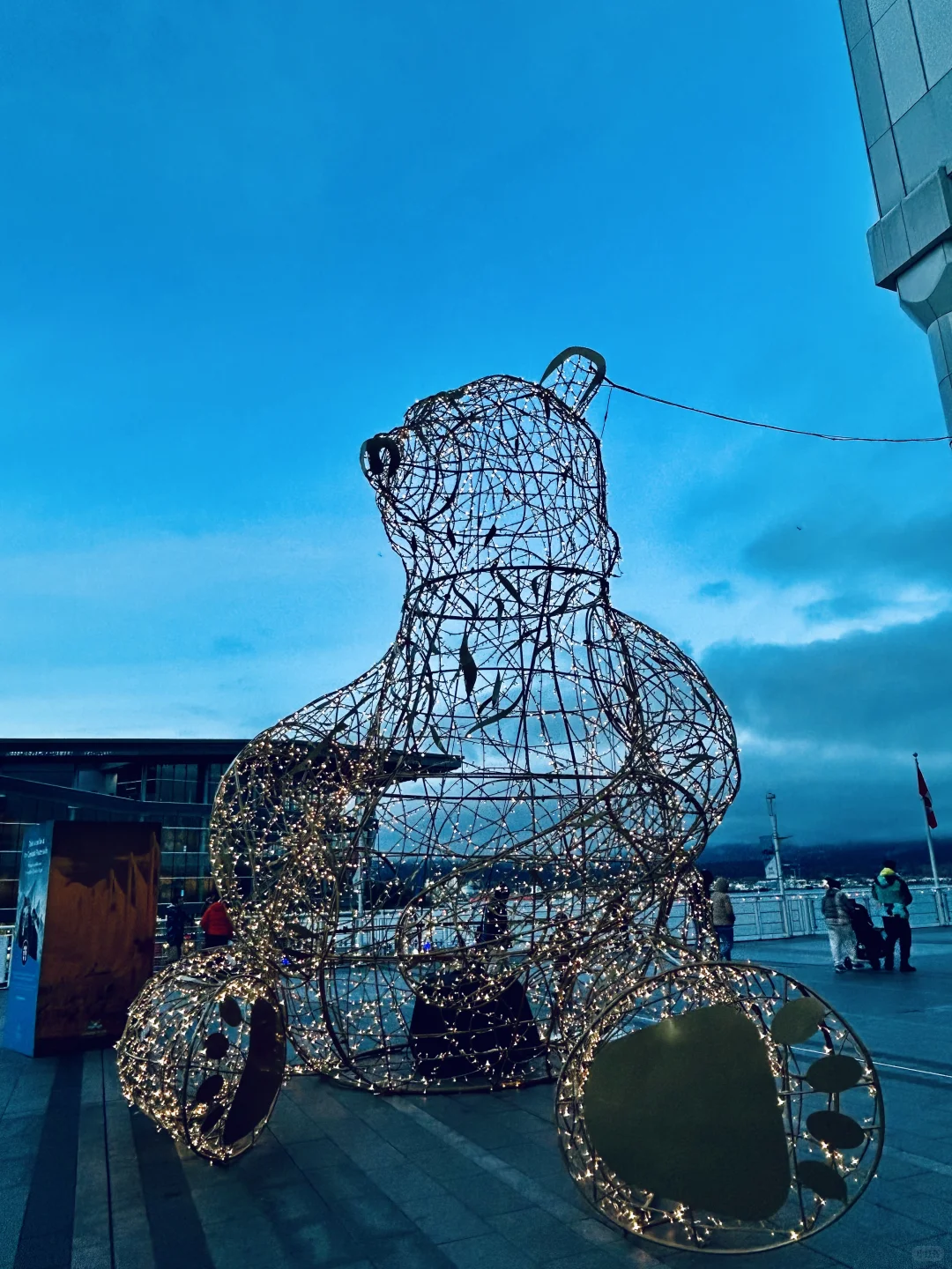 冬日游记:温哥华的“玻璃城”