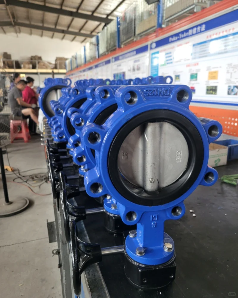 小蝶阀，大用处！阀管家来啦