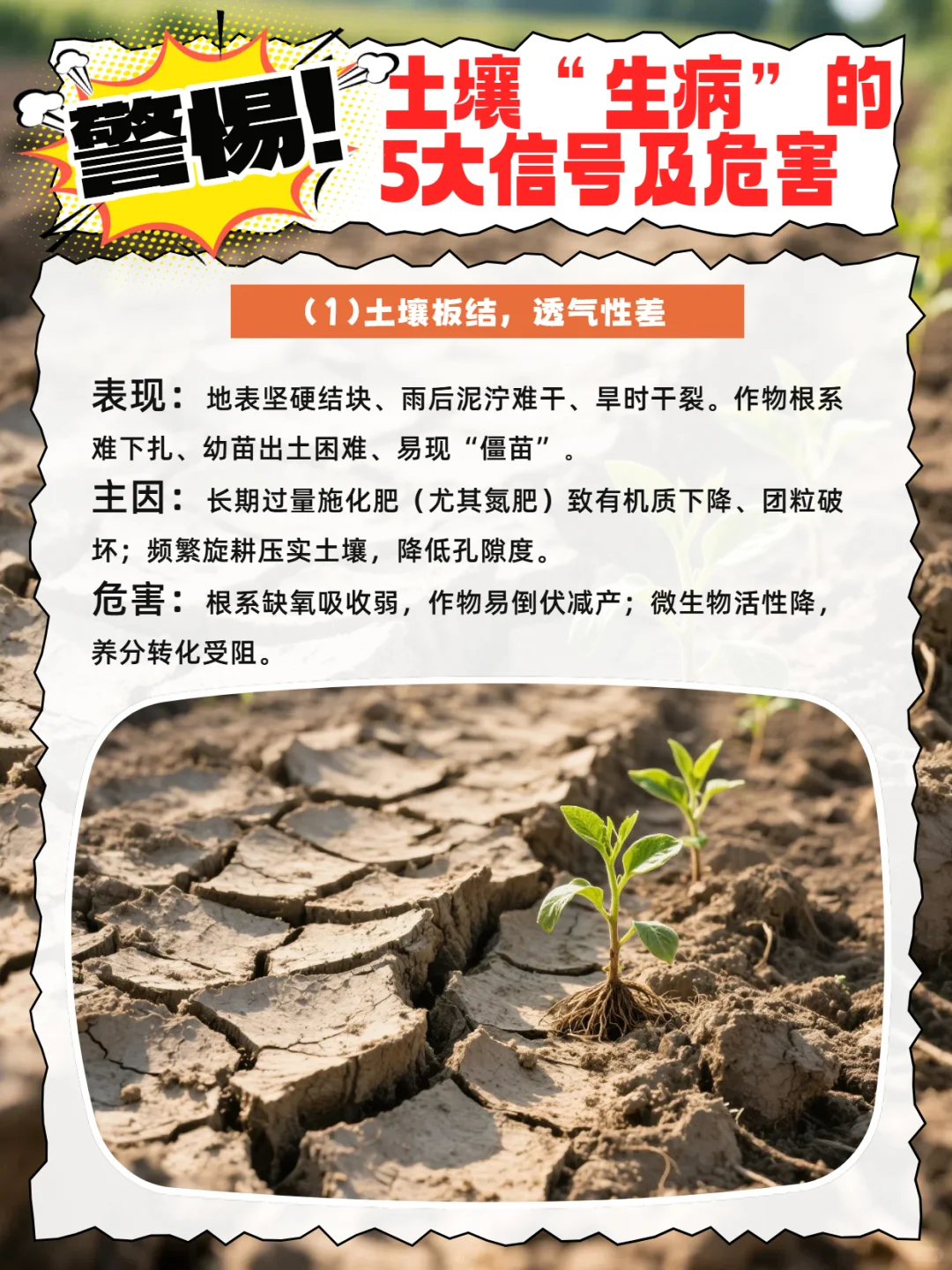 警惕！土壤“生病”的5大信号及危害