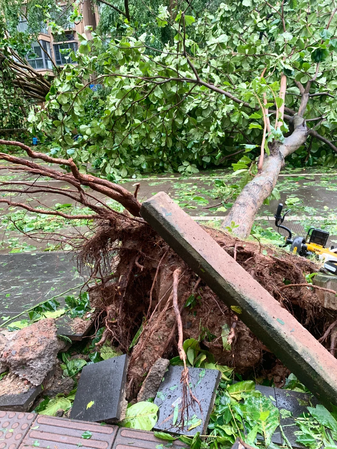 台风“摩羯”后的家?｜断桥铝门窗的重要性