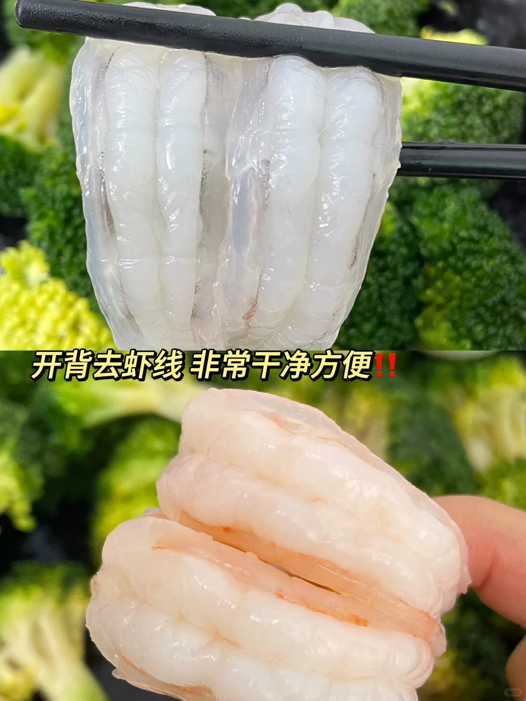 管理期必囤！多少个晚上靠它SO