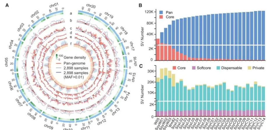 基于迭代组装的泛基因组分析