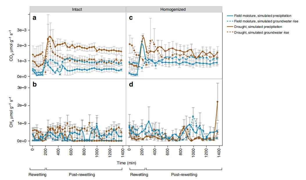 干旱及其后土壤碳（C）动态