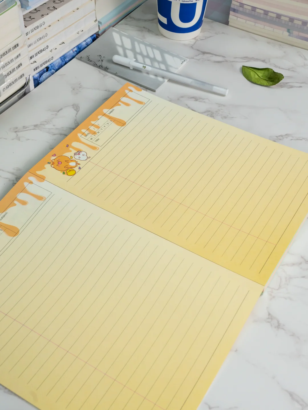 ? B5 拍纸本 100克双面彩印 ?