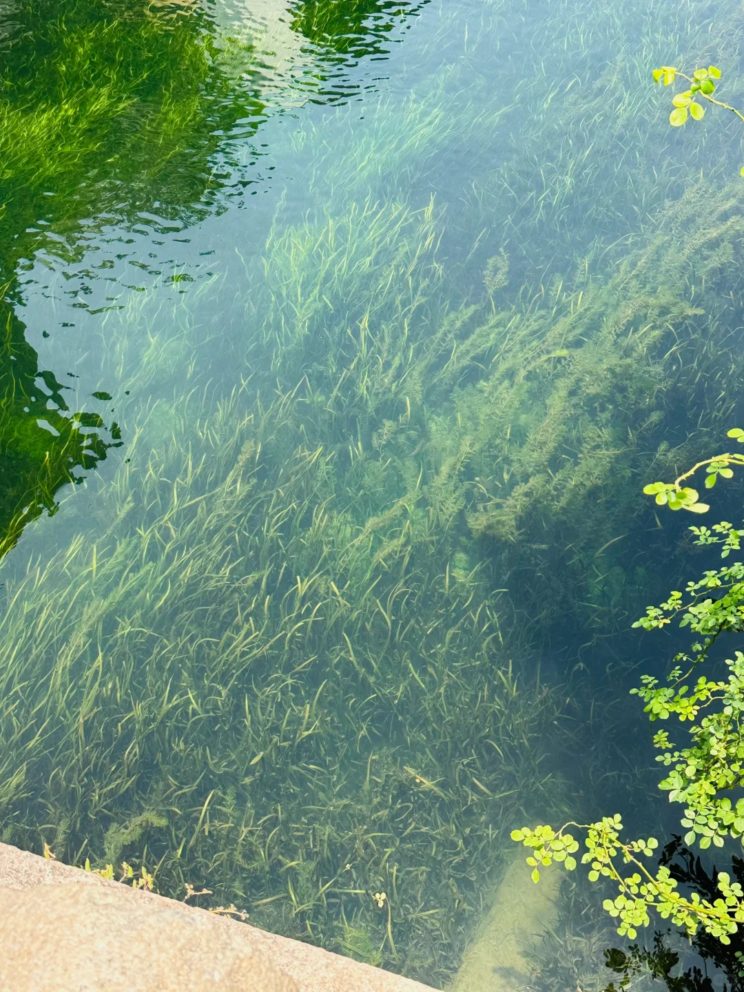 live｜无滤镜江南果冻河，有“科技”也有狠活！