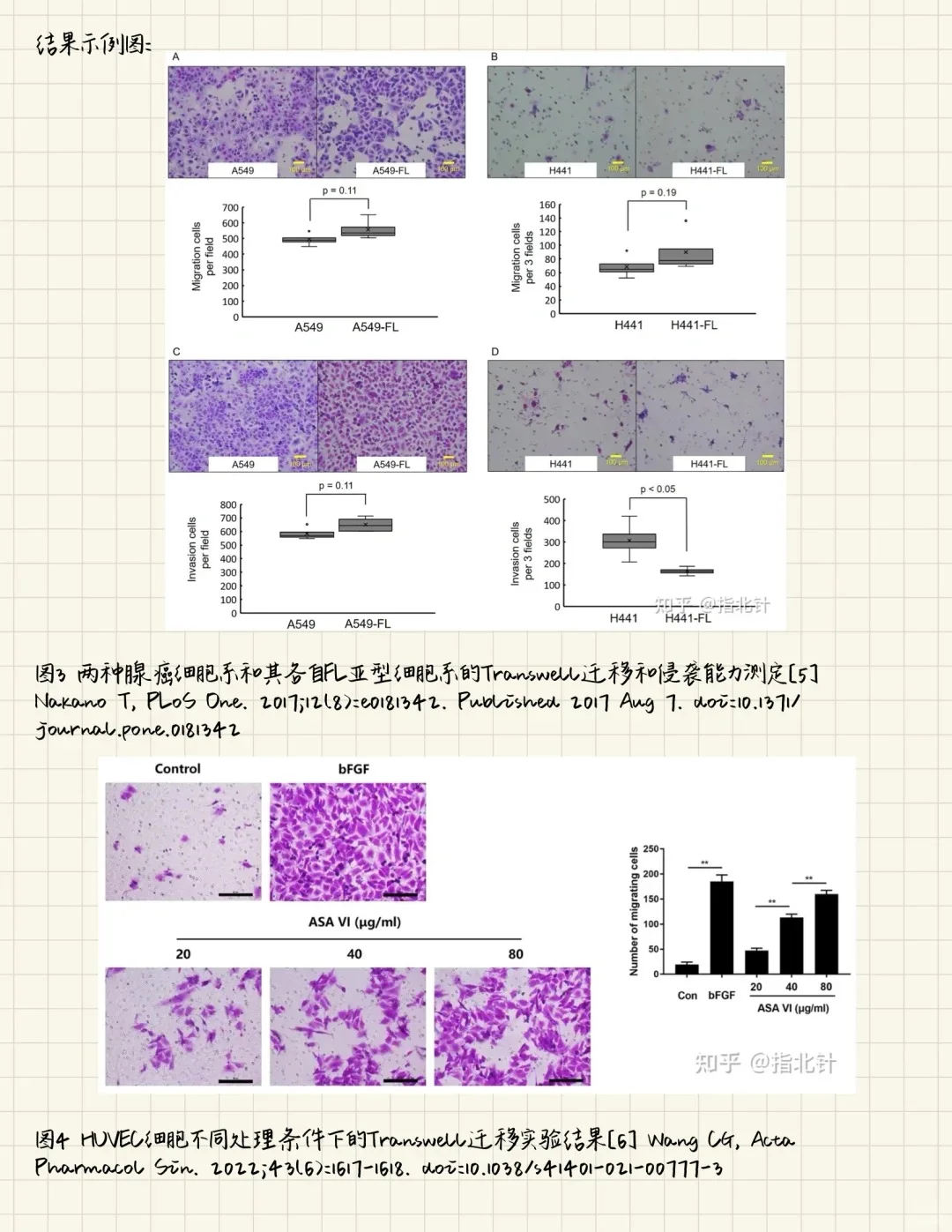 Transwell实验一次性通关!保姆级教程?