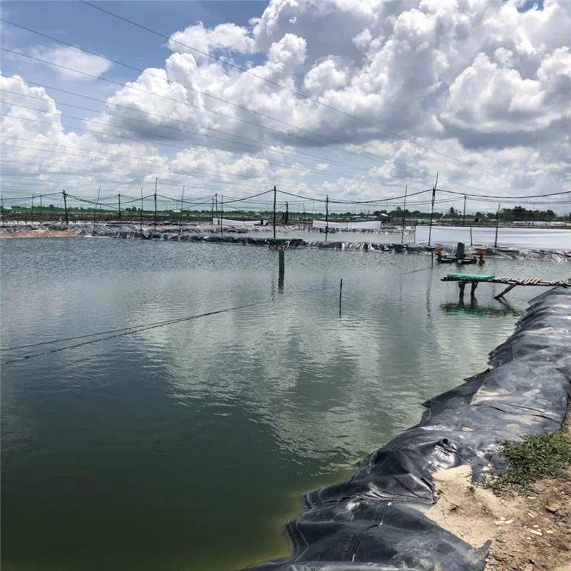 人工湖防渗膜咋铺才达标？这些标准别踩坑！