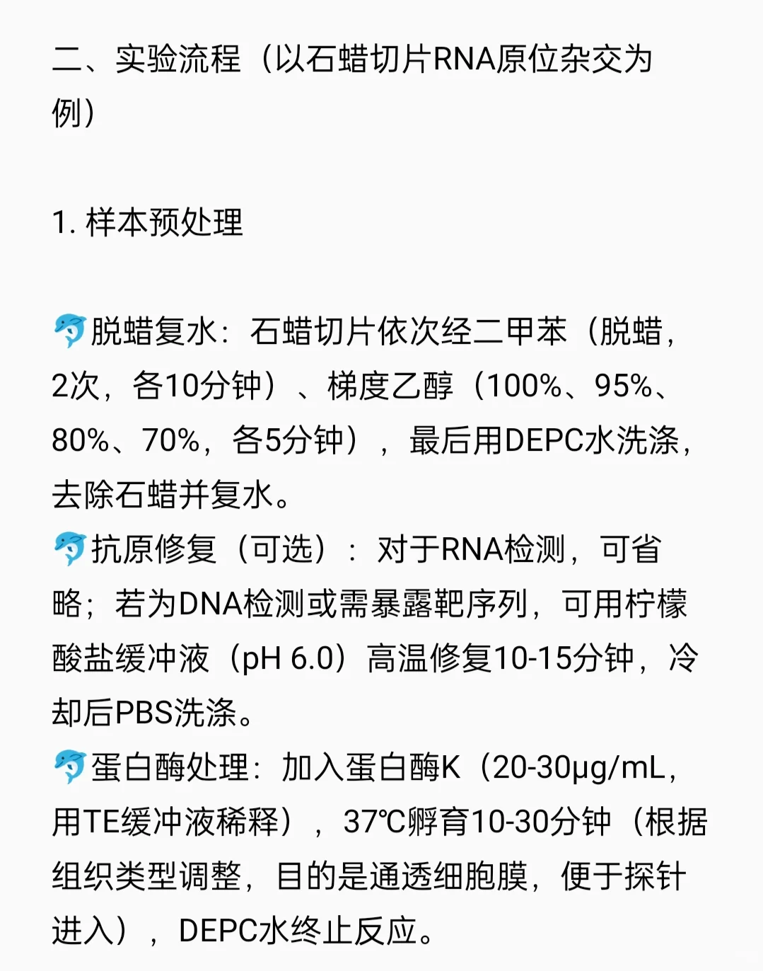 原位杂交（FISH）检测实验流程