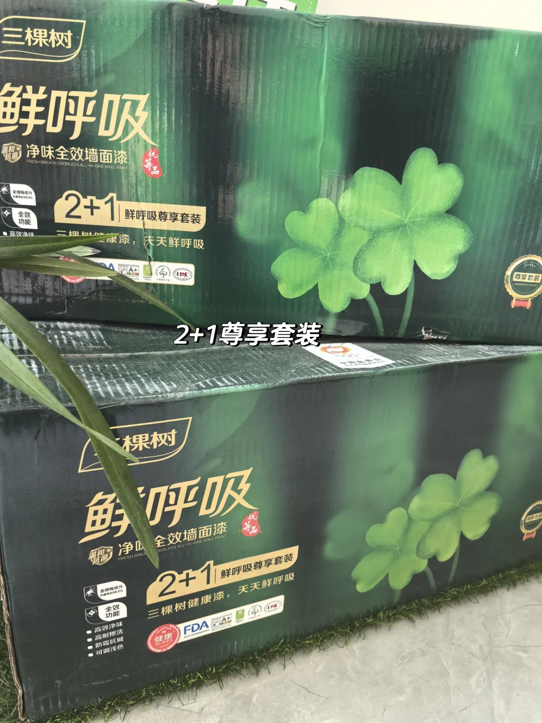 三棵树鲜呼吸墙面漆！绝了！