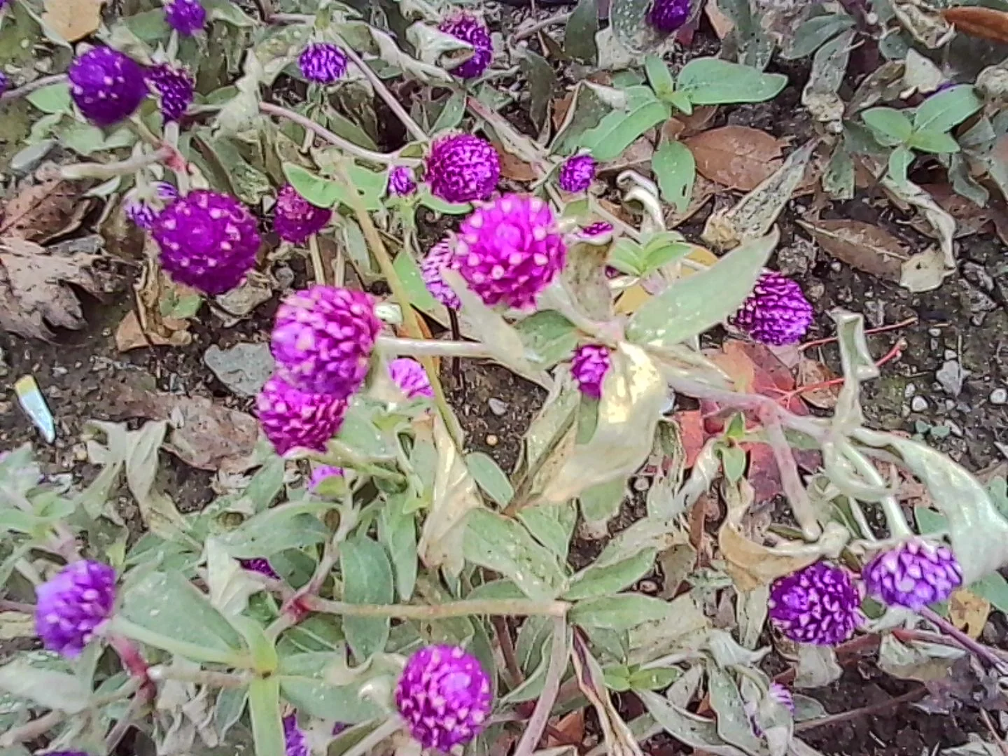 当你在阴天带一堆奇怪设备去颐和园