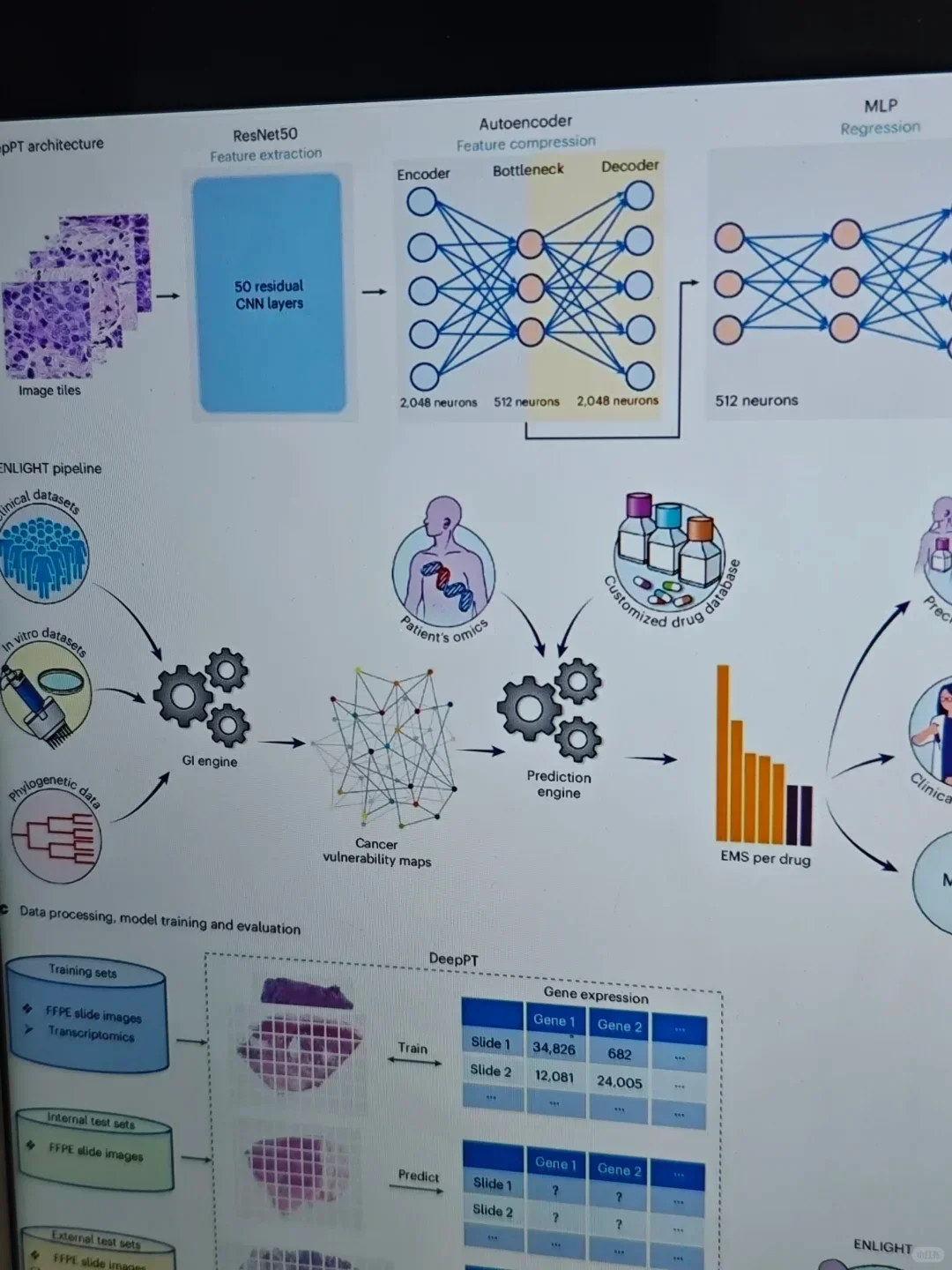 我导都说我绘图水平提升太快了