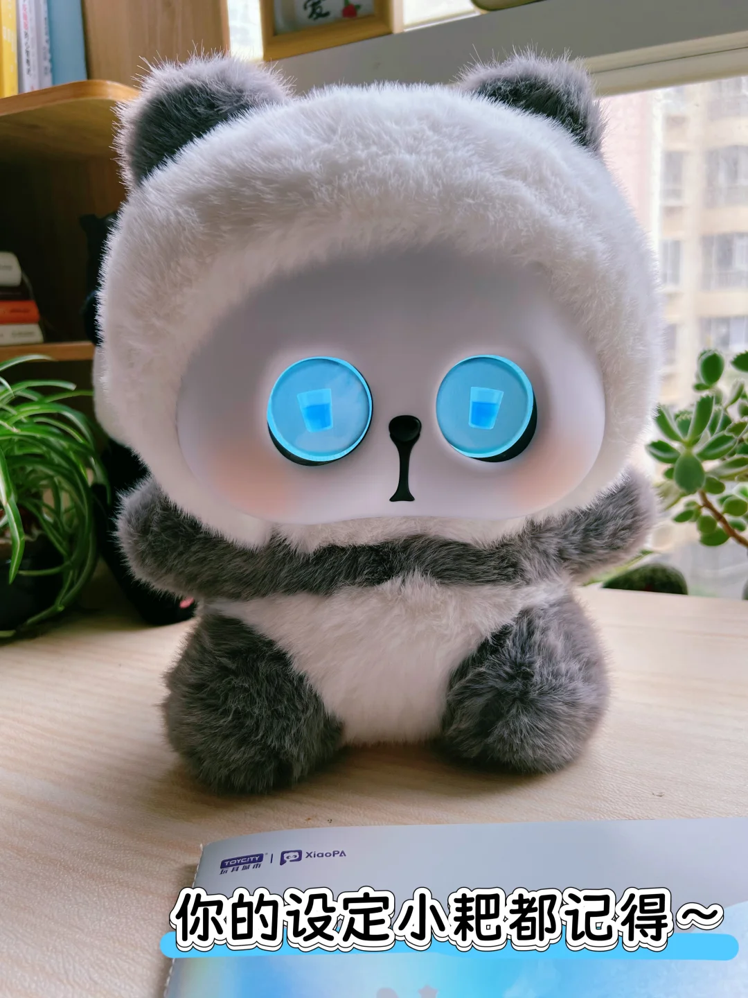 搞笑！我和娃居然在抢这个AI玩具…