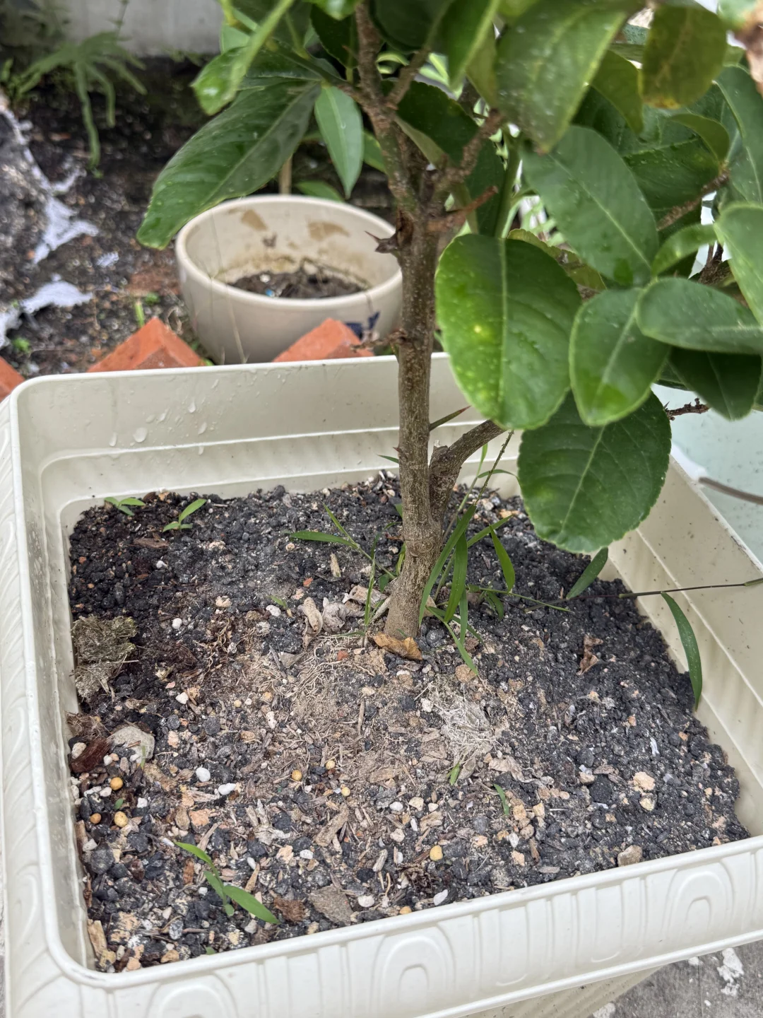 工业废图 受害者➕1