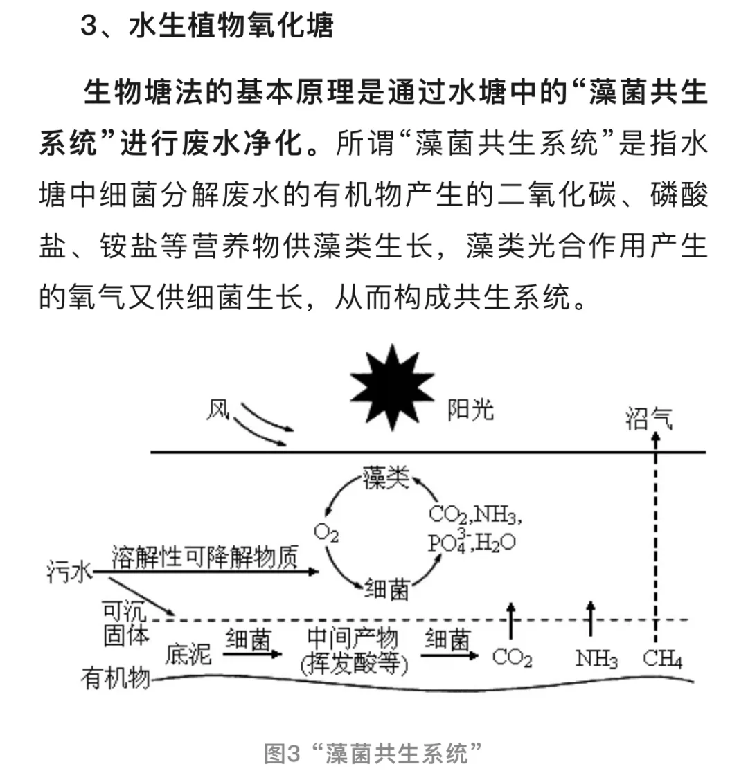 黑臭河道治理技术 ，要点在于生态修复